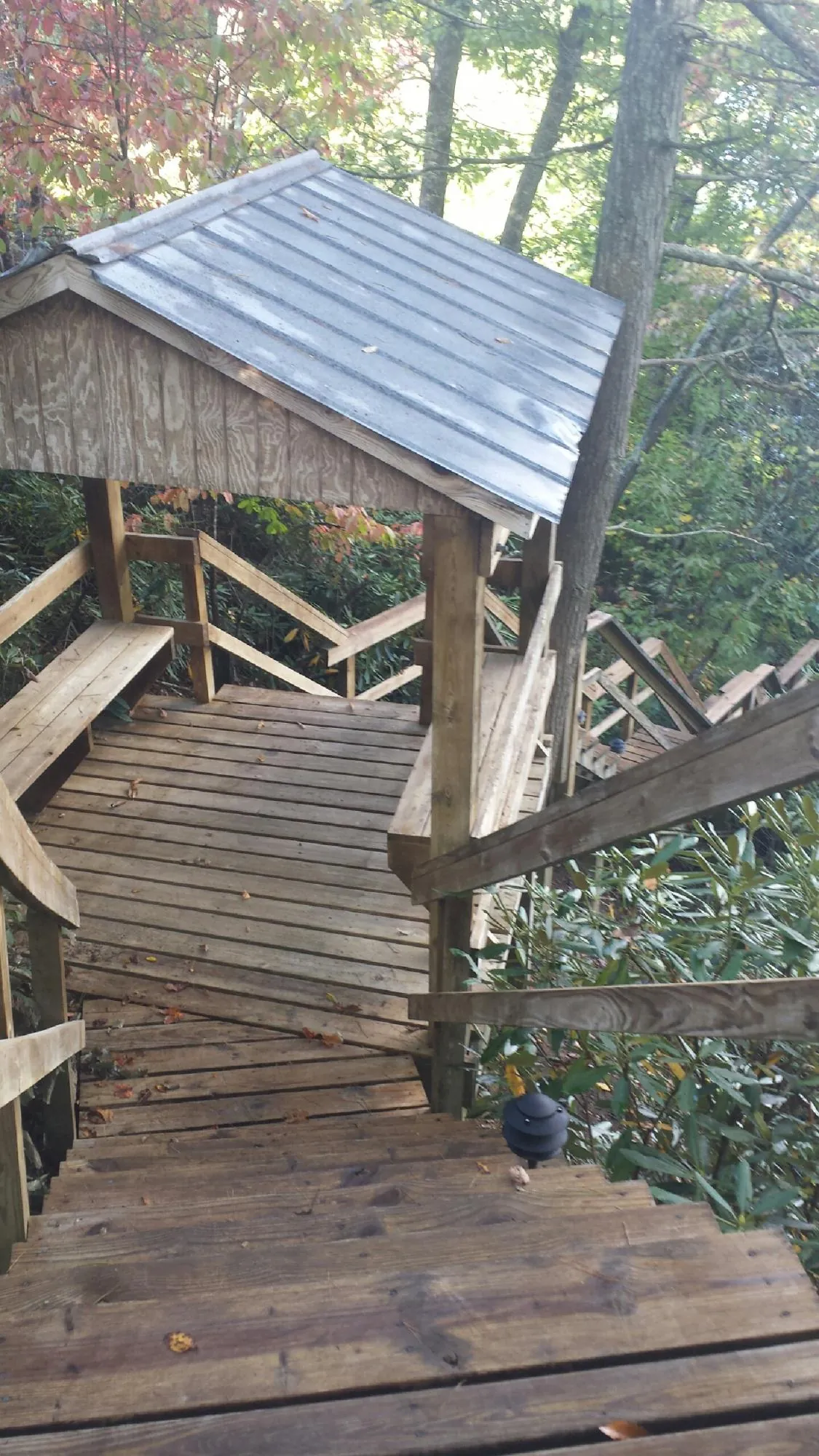 Metal roofed shelter over wooden steps on a wooded walkway — Skylight Repair & Installation work by our crew in Moores Hill