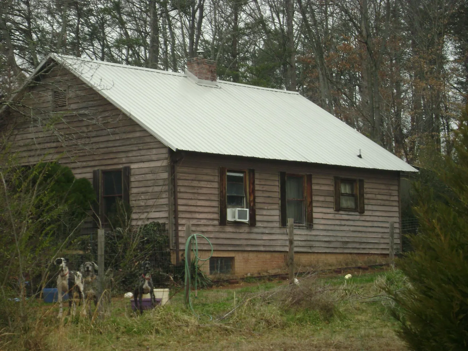 White metal roof on an old wood sided farmhouse, from a Asphalt Shingle Roof Repair job in Moores Hill